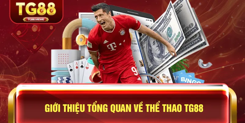 Giới Thiệu Tổng Quan Về Thể Thao TG88